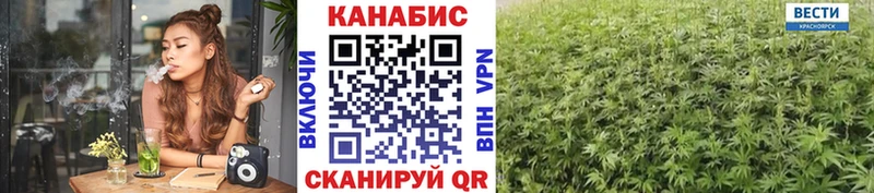 Шишки марихуана индика  mega ONION  Яхрома 